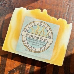 Forsythia Floral (Spring Seasonal)